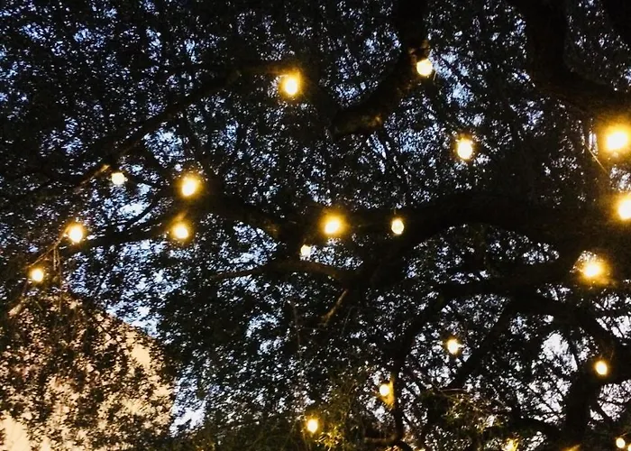 Otel La Ciucciarella